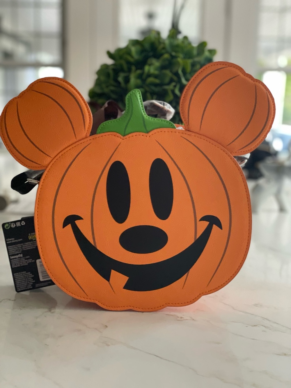 Lounge fly Disney Mickey pumpkin bag.